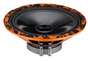 Автомобільна акустика DL Audio Gryphon Lite 200 AR-58794 фото