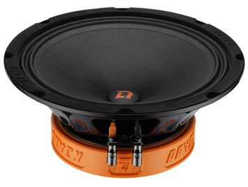 Автомобільна акустика DL Audio Raven 200 AR-58792 фото