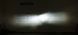 LED лампи автомобільні DriveX AL-01 H3 5000K LED 50W CAN 12В DX-0993 фото 3
