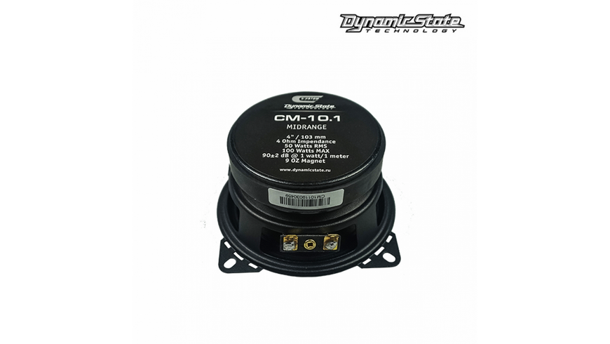Автоакустика Dynamic State CUSTOM CM-10.1 AR-87650 фото